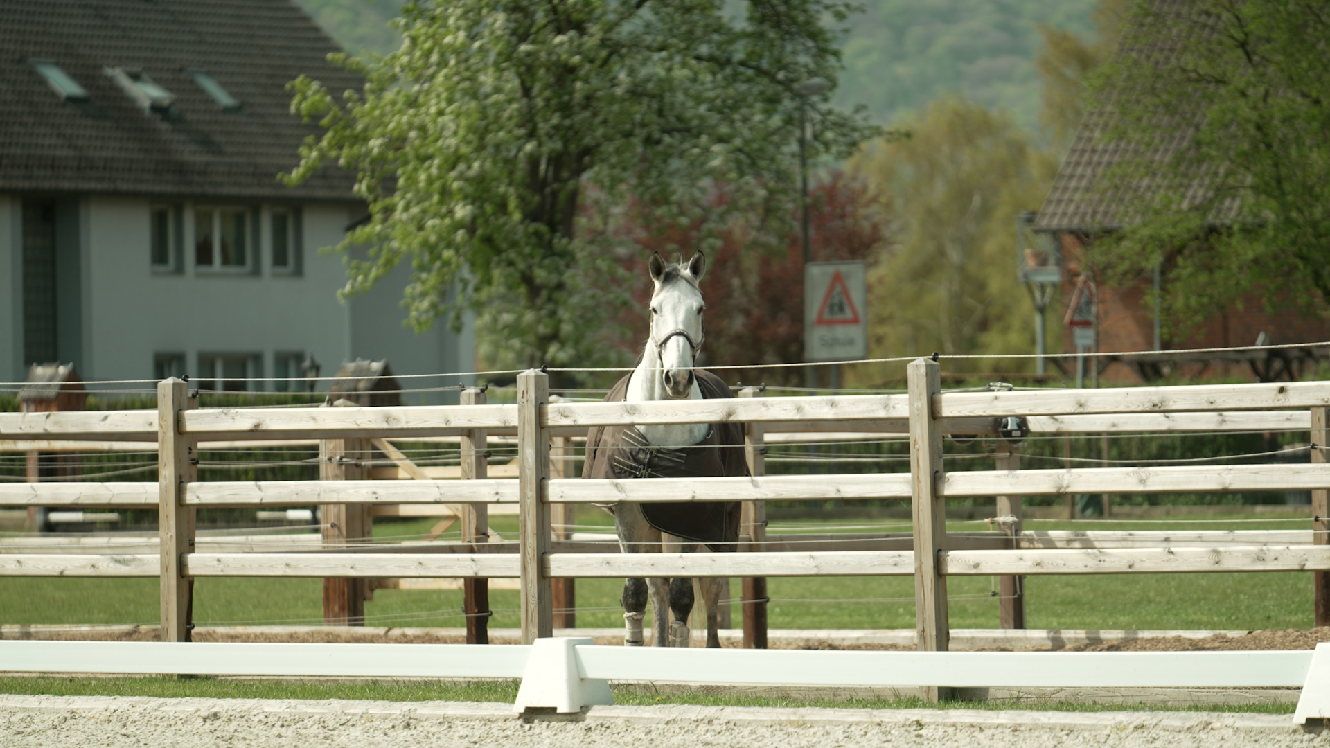 Fünf Paddocks mit Tränken und Untergrundmatten.